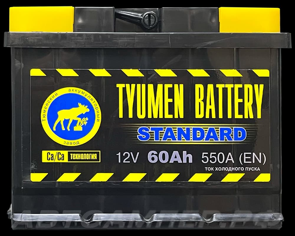 TYUMEN BATTERY STANDART